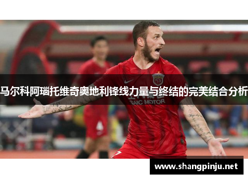 马尔科阿瑙托维奇奥地利锋线力量与终结的完美结合分析