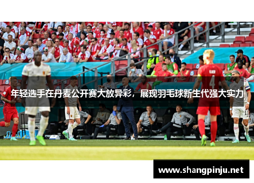 年轻选手在丹麦公开赛大放异彩，展现羽毛球新生代强大实力