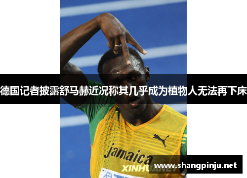 德国记者披露舒马赫近况称其几乎成为植物人无法再下床