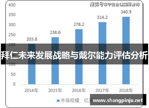 拜仁未来发展战略与戴尔能力评估分析