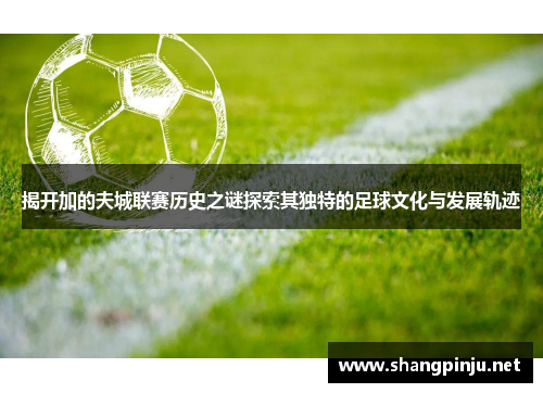 揭开加的夫城联赛历史之谜探索其独特的足球文化与发展轨迹 揭开加的夫城联赛历史之谜探索其独特的足球文化与发展轨迹