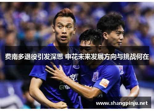 费南多退役引发深思 申花未来发展方向与挑战何在